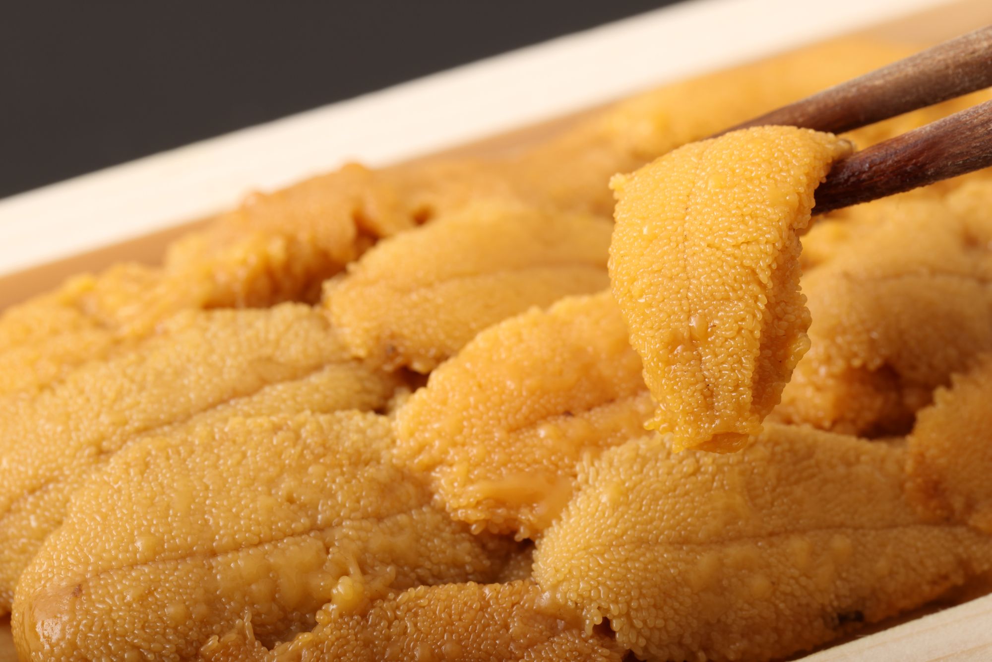 主要ビジュアル1